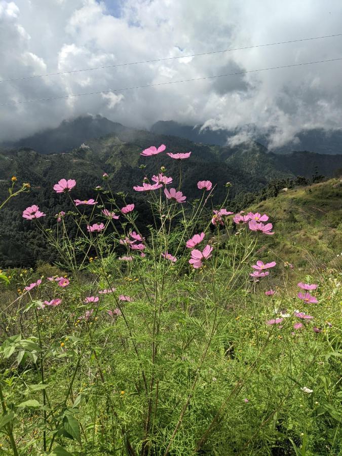 Namastay Himalayas, Kanatal Exterior foto