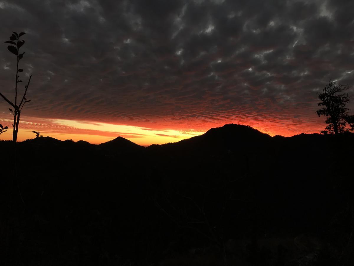 Namastay Himalayas, Kanatal Exterior foto